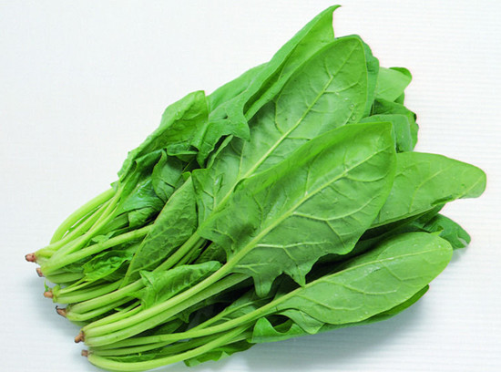 春菠菜：鲜嫩绿意，养出健康