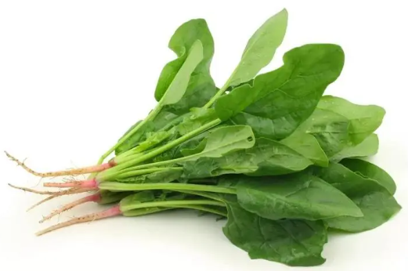 菠菜与健康：防病抗衰的绿色力量